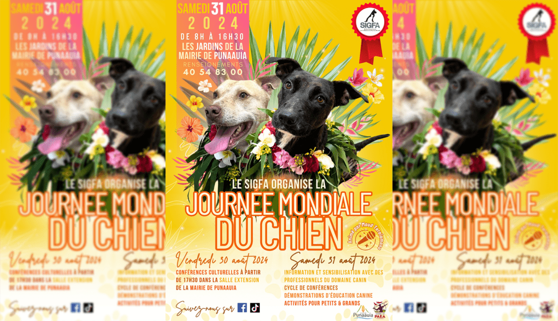 Journée mondiale du chien le 30 août