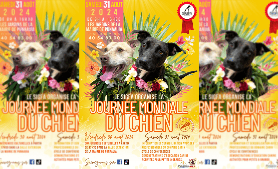 Journée mondiale du chien le 30 août